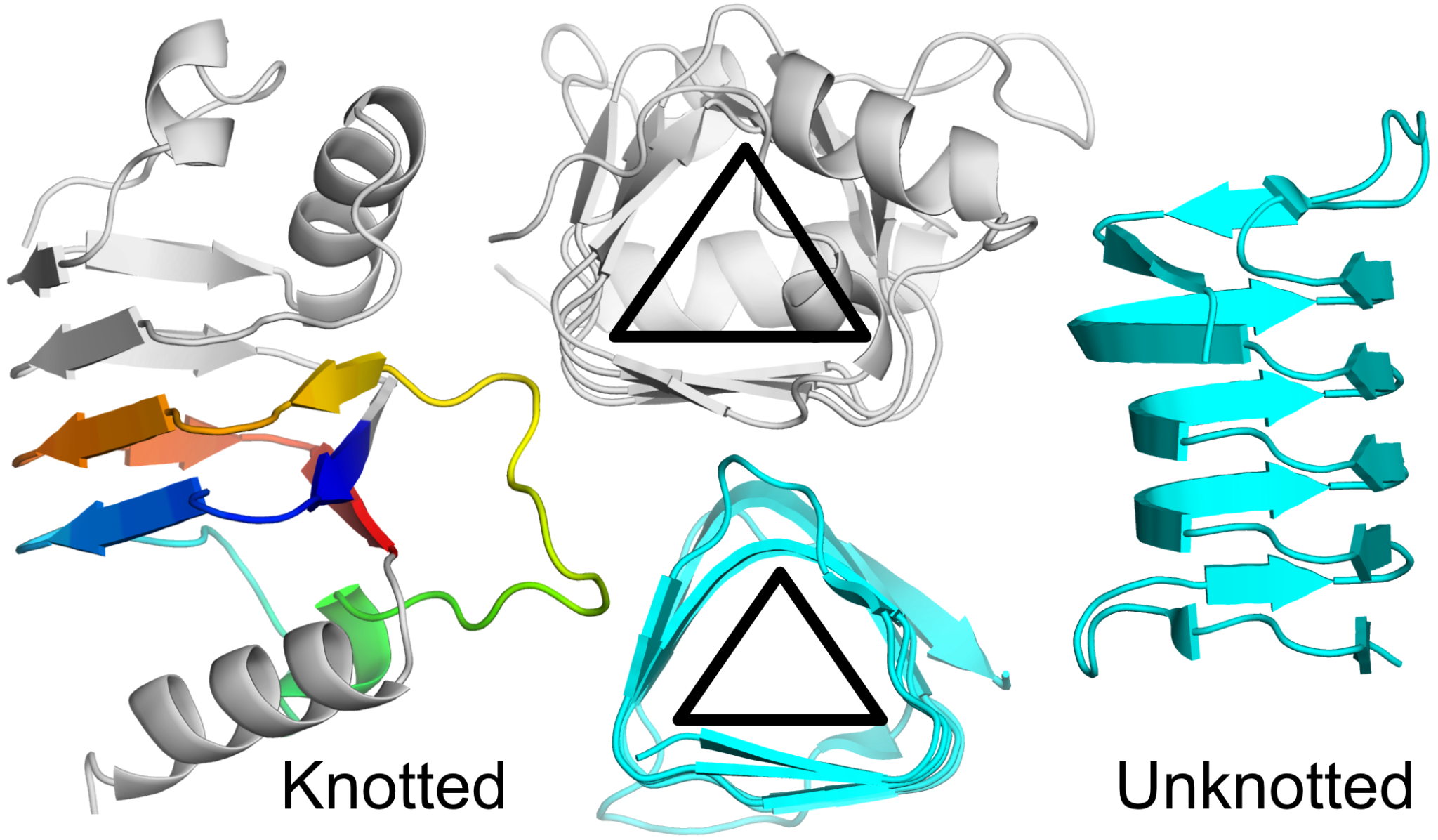Beta-helical_3_1_proteins