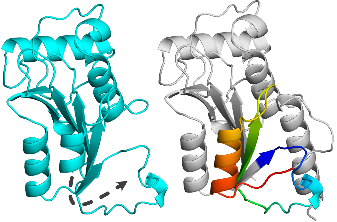 SPOUT_proteins